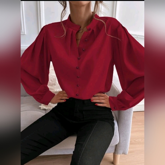 Bishop Sleeve Button Up Blouse - Picture 3 of 3